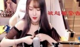 国产主播福利网,揭秘网红经济新趋势