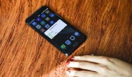 手机国产看片,畅享本土影视盛宴