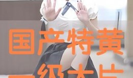 国产特黄,揭秘国产电影中的色情元素与审查边界